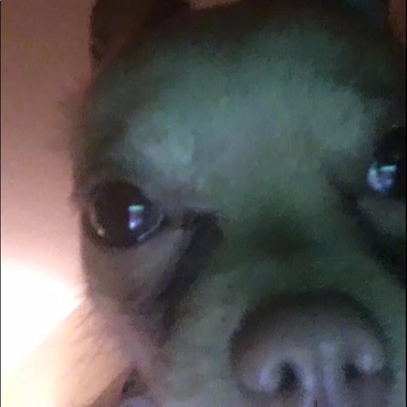 katenguyen05